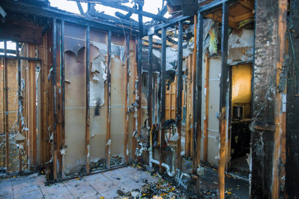 Professional Fire Damage Removal technician working in Longview, TX